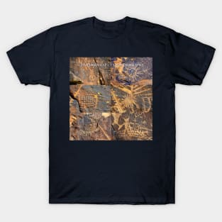 Parowan Gap Utah petroglyph site T-Shirt